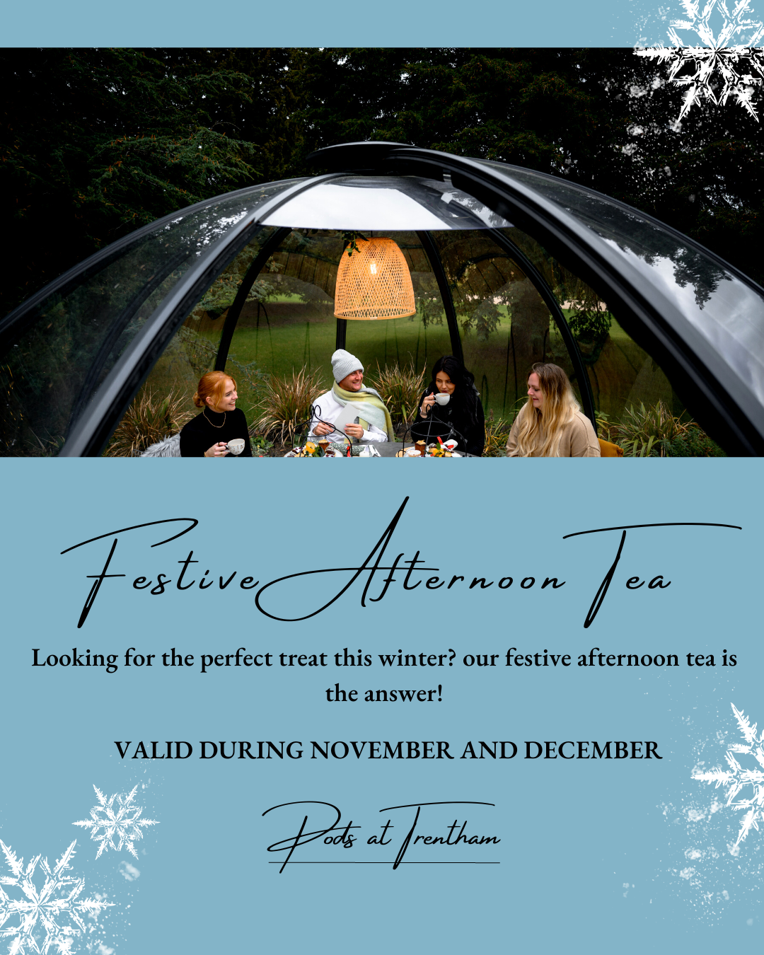 Festive afternoon tea (2)