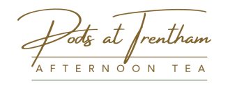 PP Afternoon Gld on Wht 1