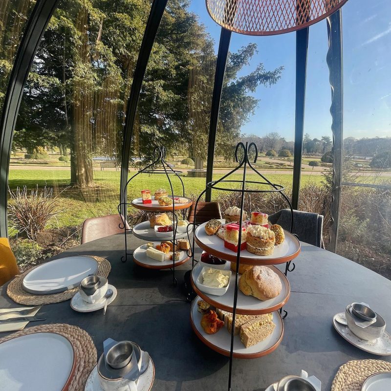 afternoon tea new menu