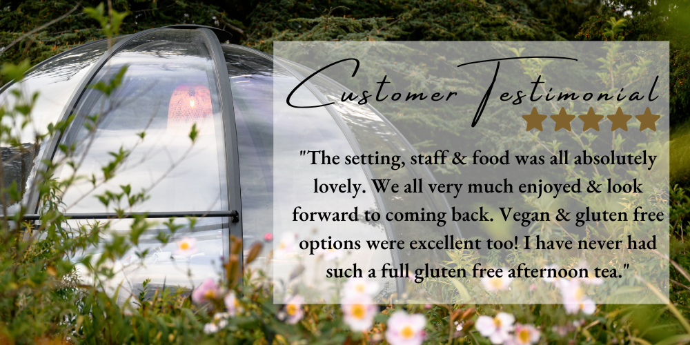 customer testimonial